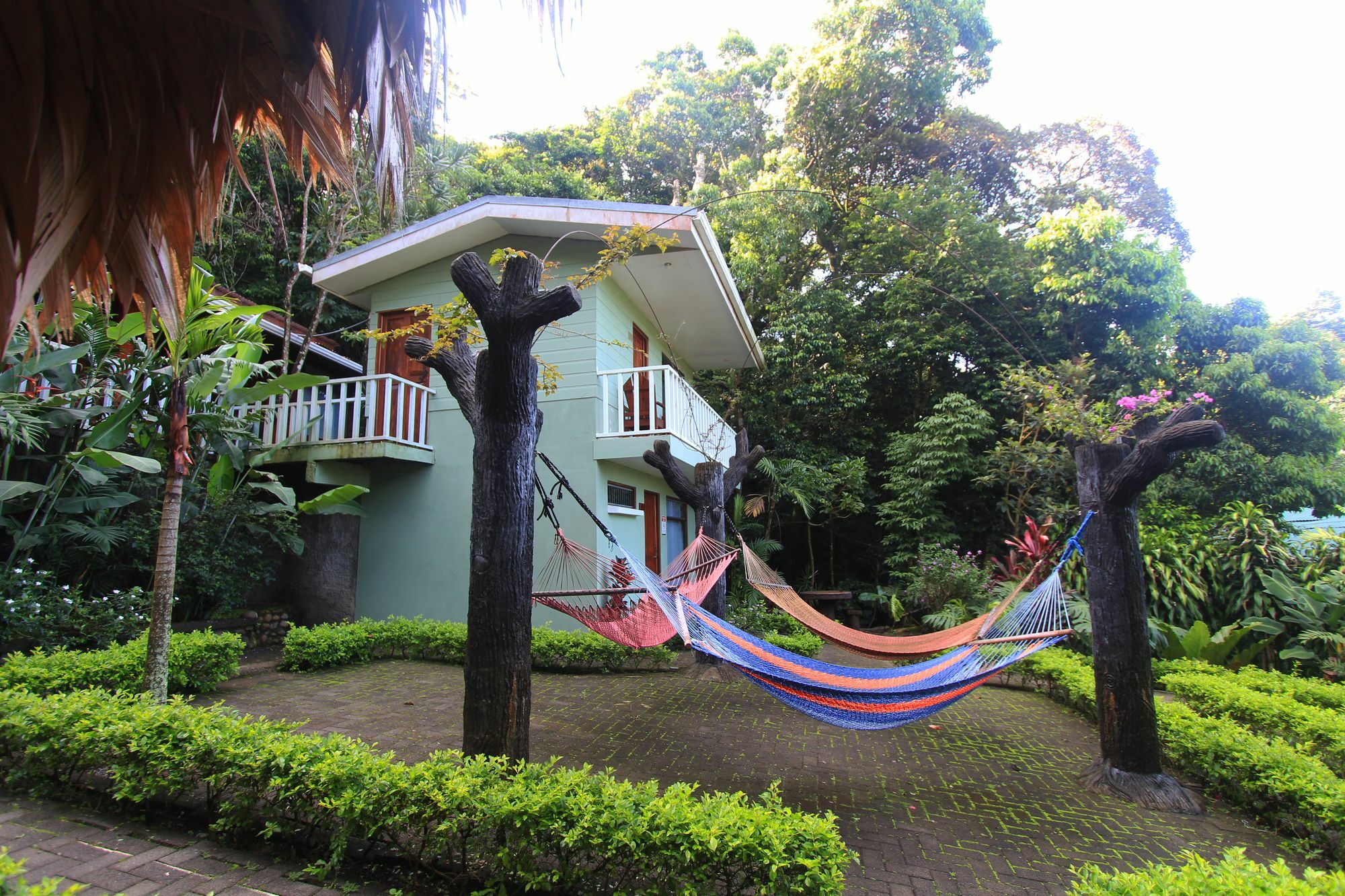 Santa Elena Hostel Resort Monteverde Kültér fotó