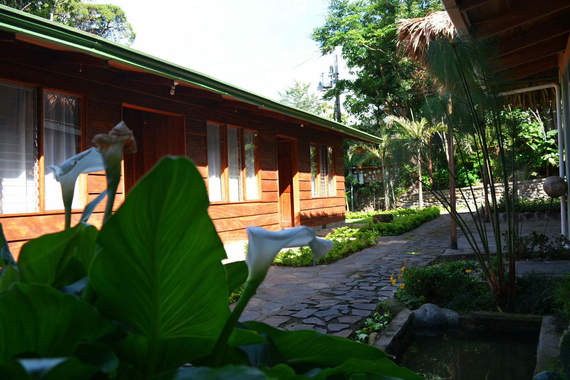 Santa Elena Hostel Resort Monteverde Kültér fotó
