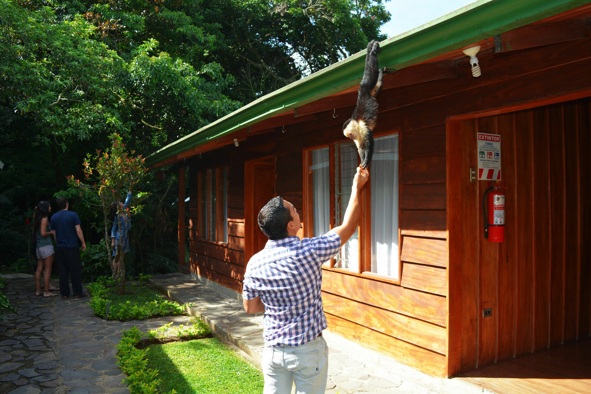 Santa Elena Hostel Resort Monteverde Kültér fotó